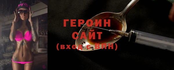 амф Снежногорск